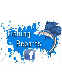 View Our Cape Hatteras Fishing Report on Our Facebook Page