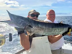 Wahoo are available offshore throughout the season and excellent catches are often available in August and September.
