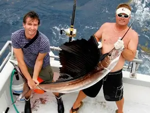 OBX visitors actually have the unique opportunity to catch Atlantic Sailfish off Cape Hatteras.