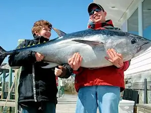 Bluefin tuna are rare out of Hatteras Inlet as that fishery primarily takes place off Oregon Inlet these days.